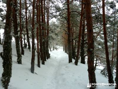 Raquetas de Nieve - Puerto de Cotos; club de viajes; caminos y senderos;rutas para hacer senderismo